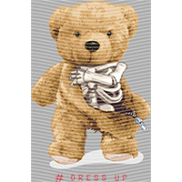 Bear-BR 322
